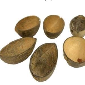 חב' 6 קערית מחצי אגוז קוקוס טבעי